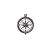 compass icon